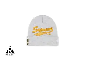 Supreme New Era Salvation Beanie Heather Grey